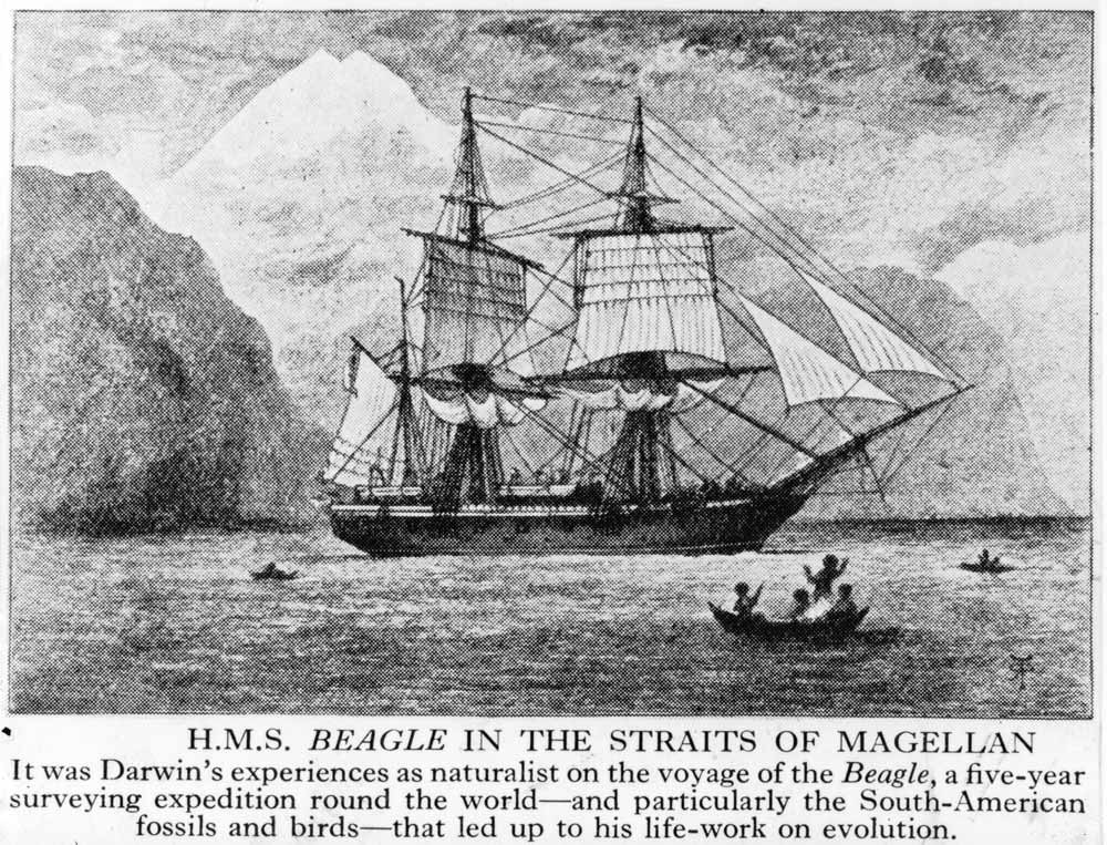 HMS-Beagle