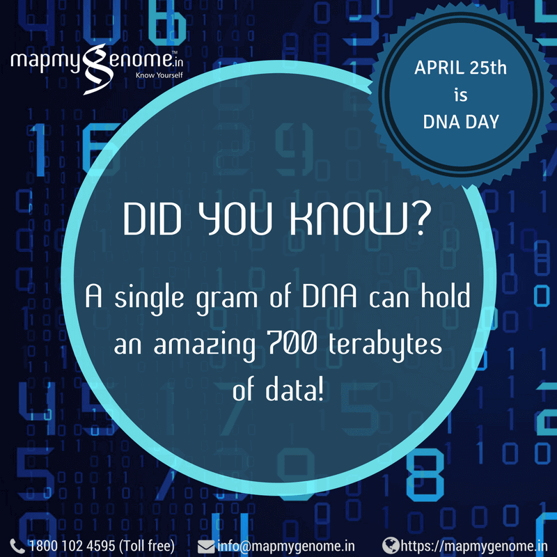 Did You Know_ DNA and data