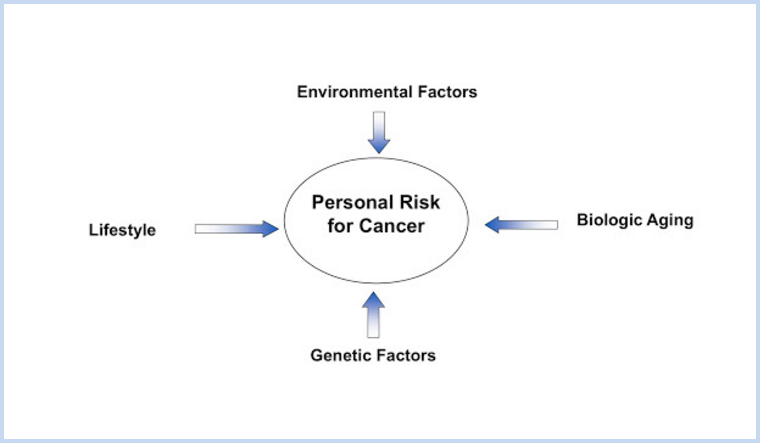 Cancer Risk Factors