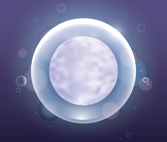 ovum cell