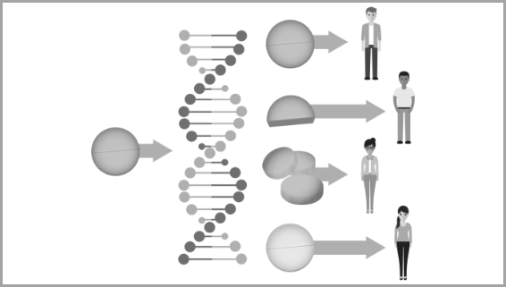 Pharmacogenomics