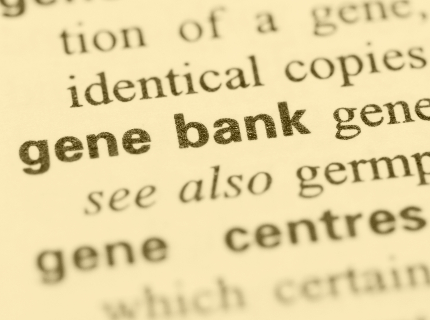 Gene Cars The Future Of Automotive Technology